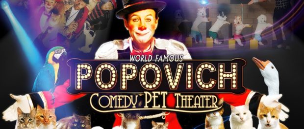 Popovich comedy pet theatre